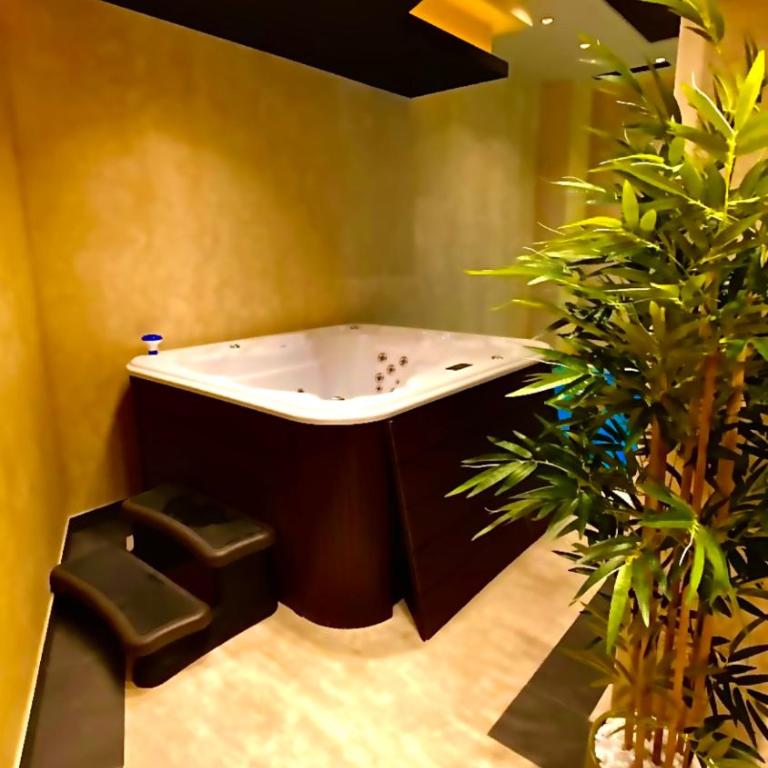 Malaviko, Bazen&Spa - Apartman sa 1 Spavaćom Sobom - 39