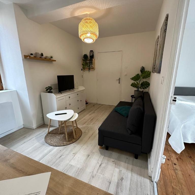Joli appartement proche centre ville, thermes, Aquensis - One-Bedroom Apartment - 3