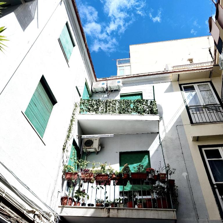 Gabry central apartment Palermo - Two-Bedroom Apartment - 44