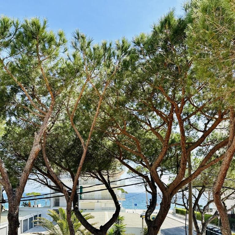 Brisa CostaBravaSi - Casa - 3