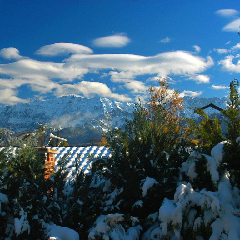 Landhaus Alpenblick - Apartamento con vistas a las montañas - 14