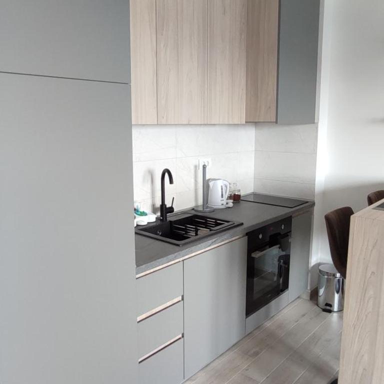 Jela Apartman - Apartman sa 1 Spavaćom Sobom - 9