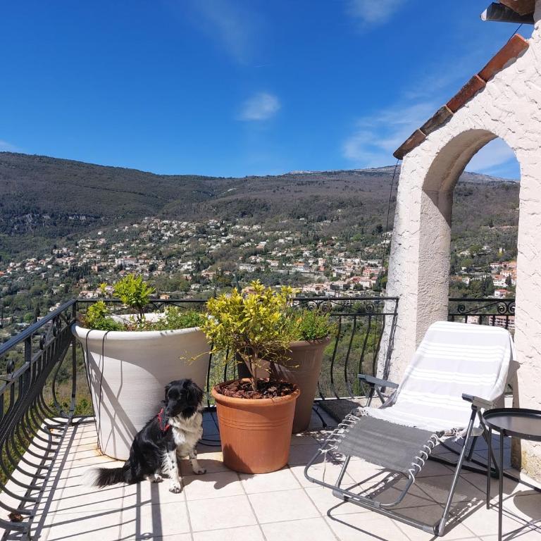 Charmant haut de villa - Maison 3 Chambres - 3