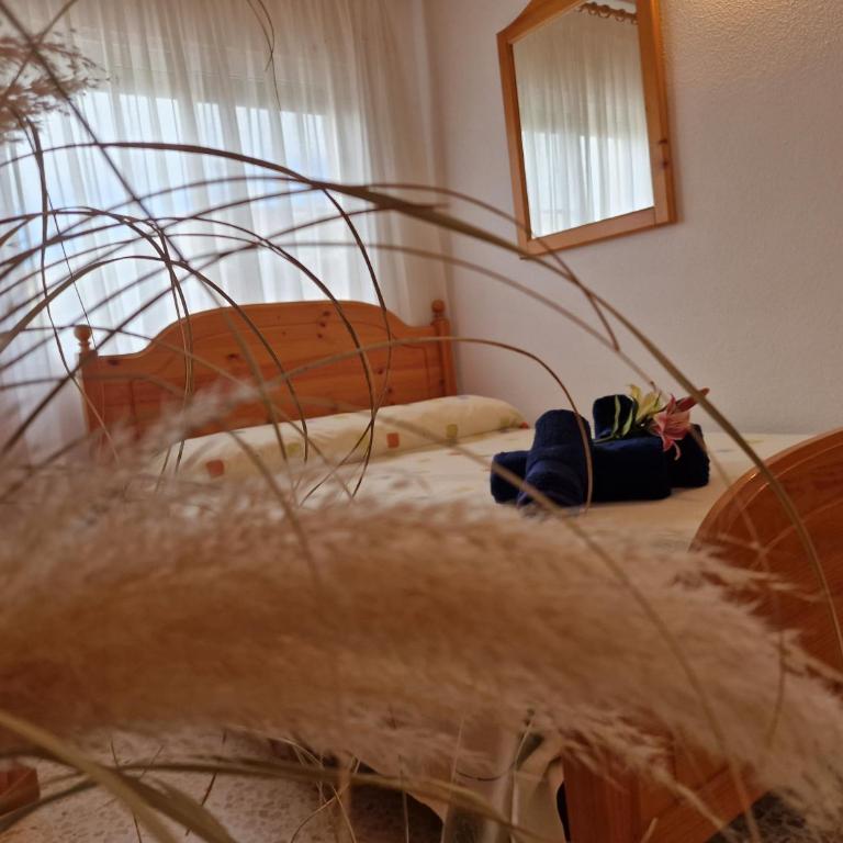 Riumar "Belmar", 400m to beach, private pool, On-Site-Service, dog beach - Three-Bedroom House - 25