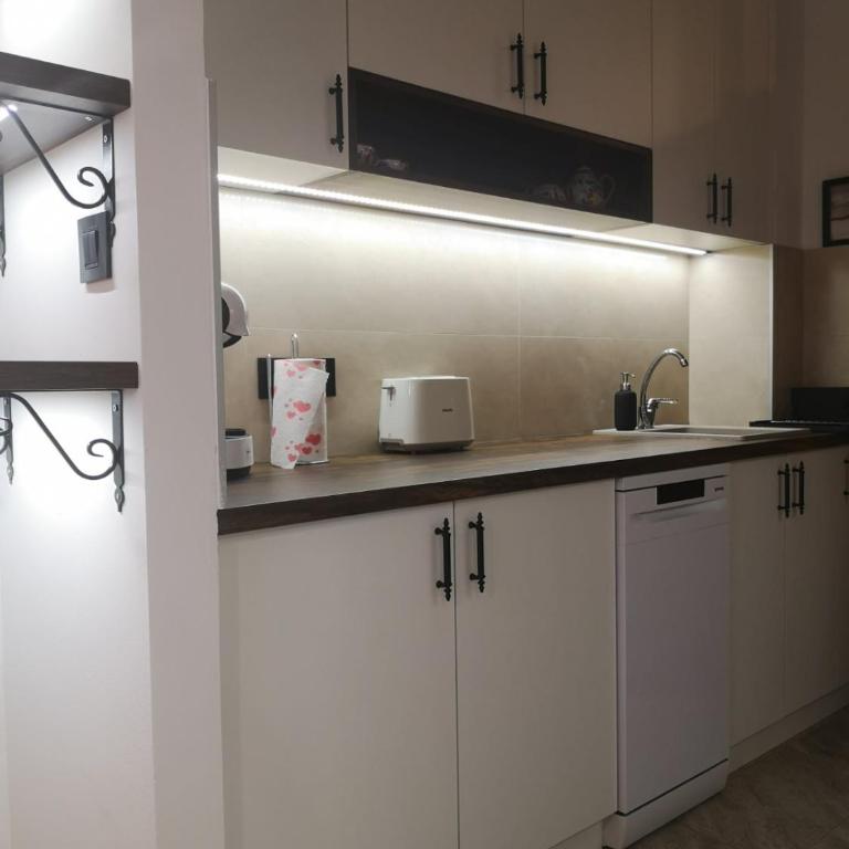 Apartman Darvin / Lux - Apartman sa 1 Spavaćom Sobom - 14