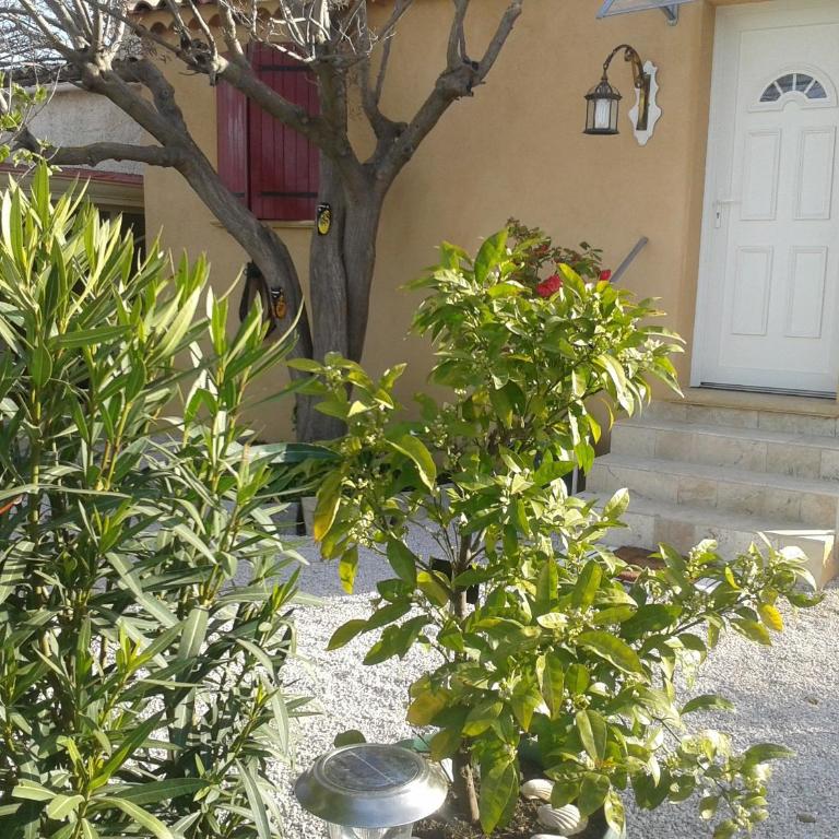 B&B Le Clos des Cigales - Chambre Double - 4