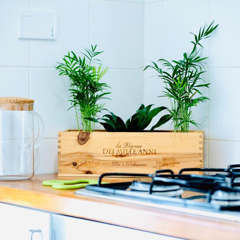 PLANT HOUSE Roma San Paolo - Casa con 1 Camera da Letto - 1