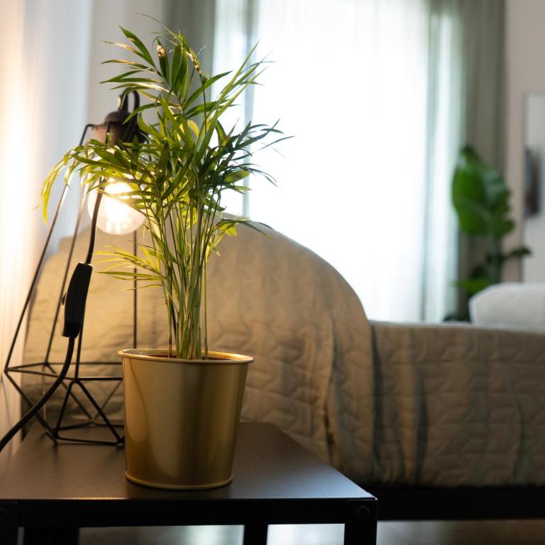PLANT HOUSE Roma San Paolo - Casa con 1 Camera da Letto - 15