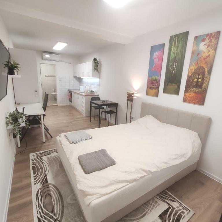 Zone Zarkovo - Apartman sa 1 Spavaćom Sobom - 3