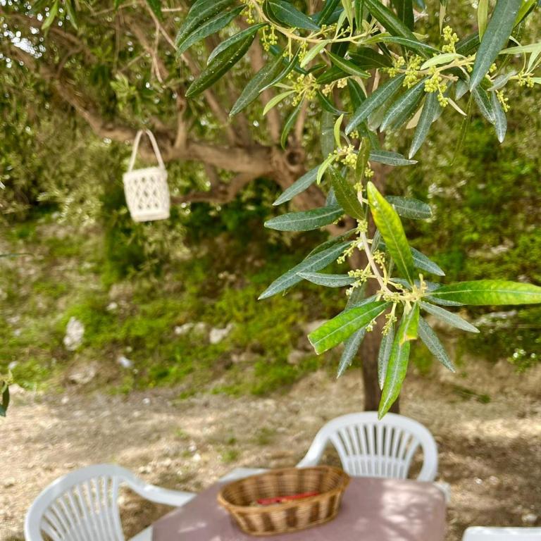 La piccola dimora - Villa con 2 Camere da Letto - 14
