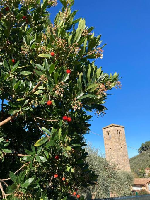 Holidayhome Villa Torre - Villa - 41