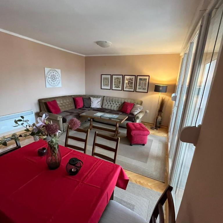 Sunny apartment with a view - Apartman sa Terasom - 40
