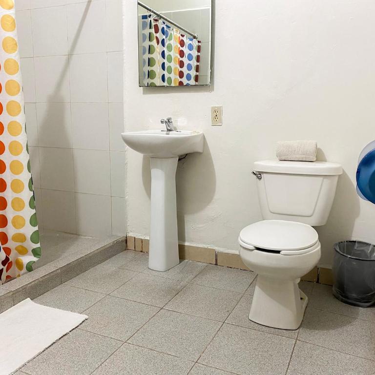 Hotel Amigo Suites - Suite Junior - 3