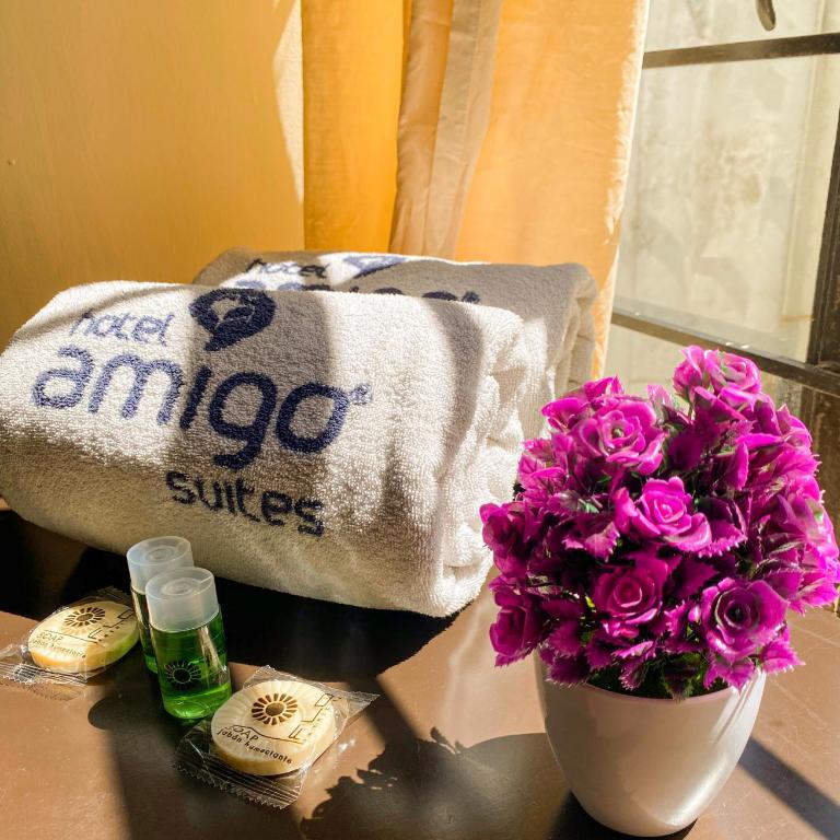 Hotel Amigo Suites - Habitación Doble Estándar - 10