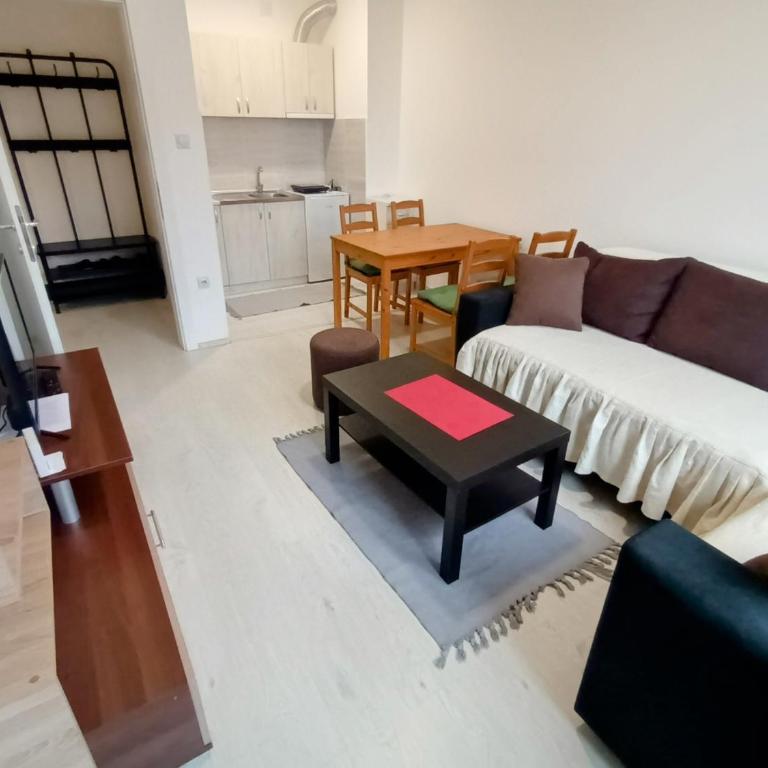Apartman Rubi Sokobanja - Apartman sa 1 Spavaćom Sobom - 7