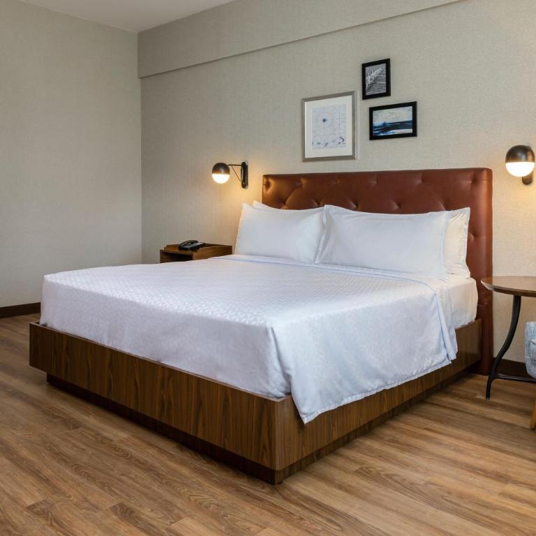 Four Points by Sheraton Monterrey Airport - King Studio - 1