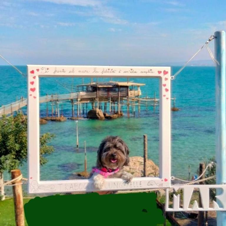 La Stellina Vacanze Vasto CH Italia - One-Bedroom Apartment - 17