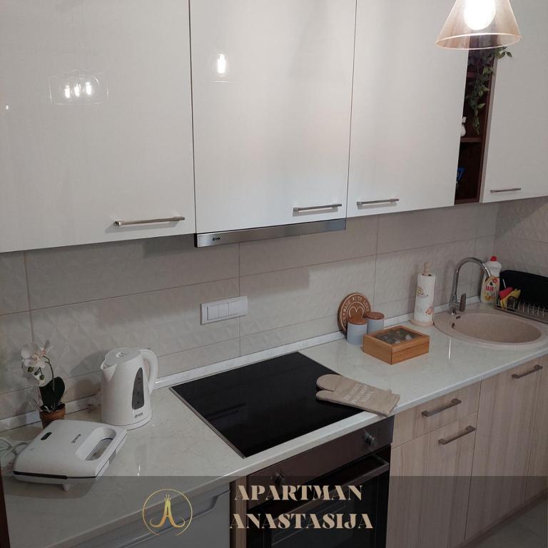 Apartman Anastasija Vrnjačka Banja - One-Bedroom Apartment - 19