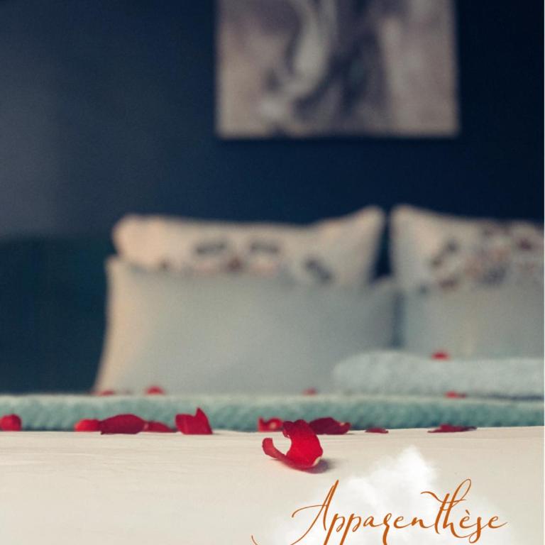 Apparenthèse Love Room Jacuzzi Sauna - Appartement 1 Chambre - 19