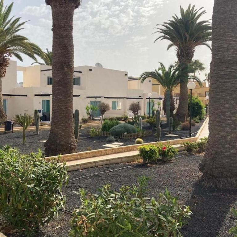 Corralejo Suite Pool & Gardens - Alisios Playa - Apartamento de 2 dormitorios - 26