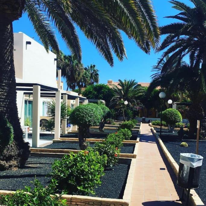 Corralejo Suite Pool & Gardens - Alisios Playa - Apartamento de 2 dormitorios - 23