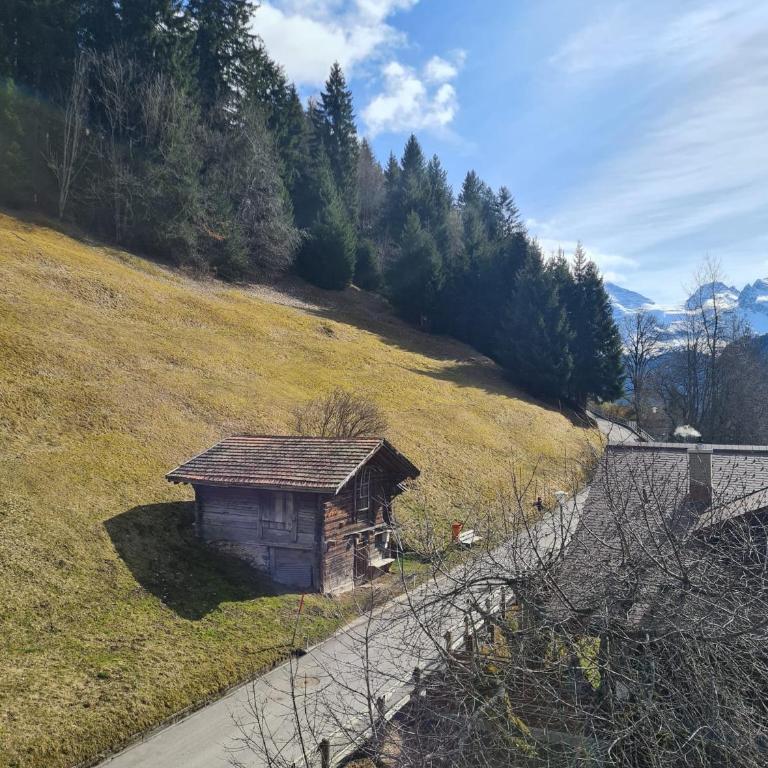 Traditional Ski Chalet in Wengen - Top Floor - Apartment mit 1 Schlafzimmer - 8