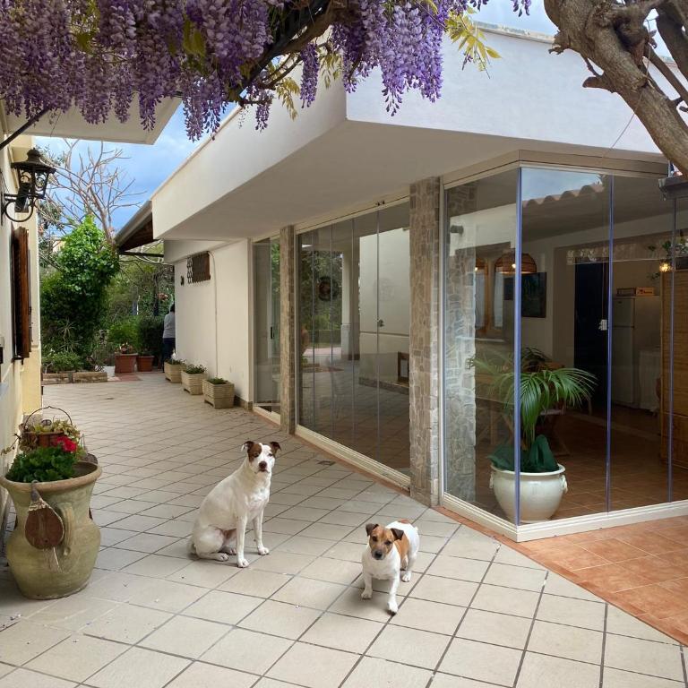 La depandance di Villa Rosa locazioni brevi - Casa - 2