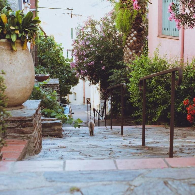 Regina's Banyuls - Town house close to beach - Maison 2 Chambres - 31