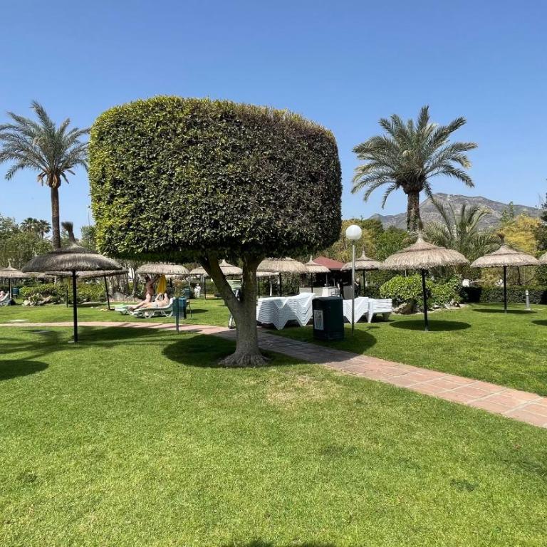 Benal Beach 42 - Apartamento de 1 dormitorio - 51