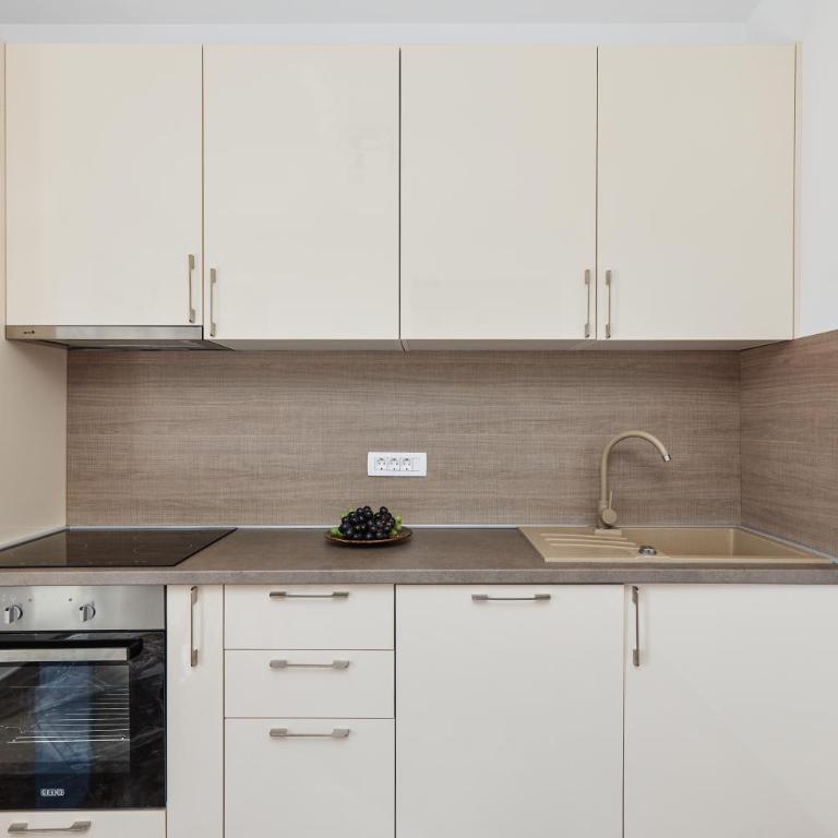 Stanisic Family Apartments - Apartment with Mountain View - 2