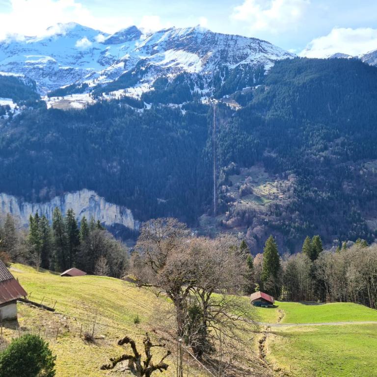 Traditional Ski Chalet in Wengen - Top Floor - Apartment mit 1 Schlafzimmer - 6