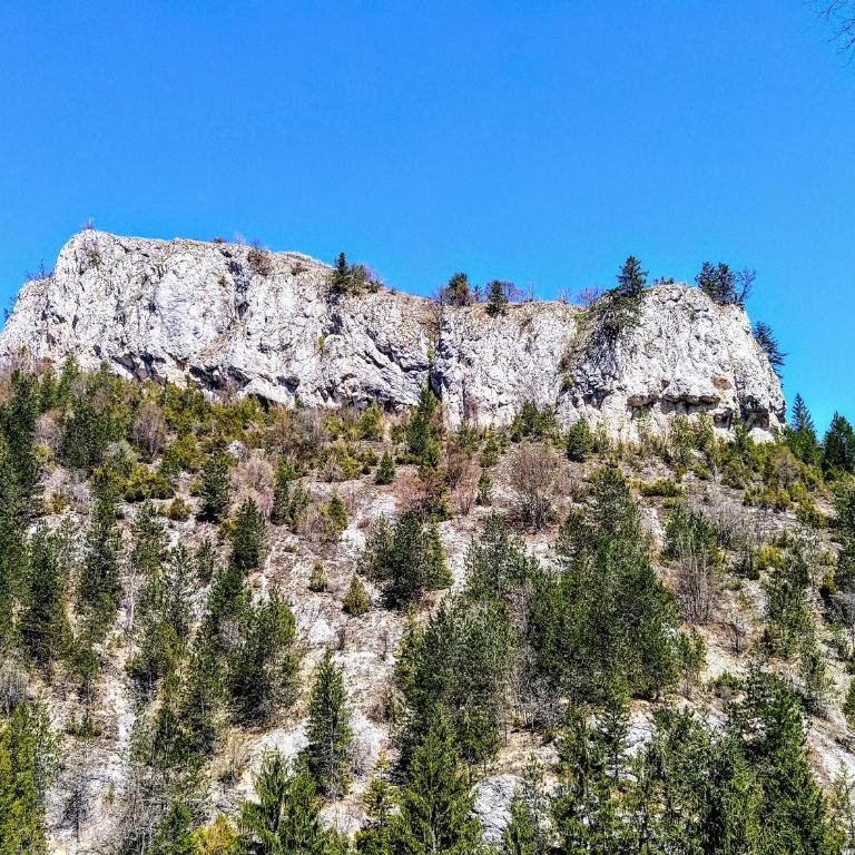 Konaci Gradina - Studio Apartman - 23