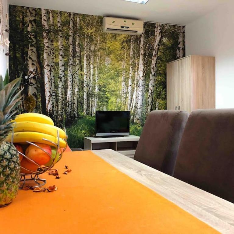 Apartmani LANA Podgorica - Studio with Sofa Bed - 16