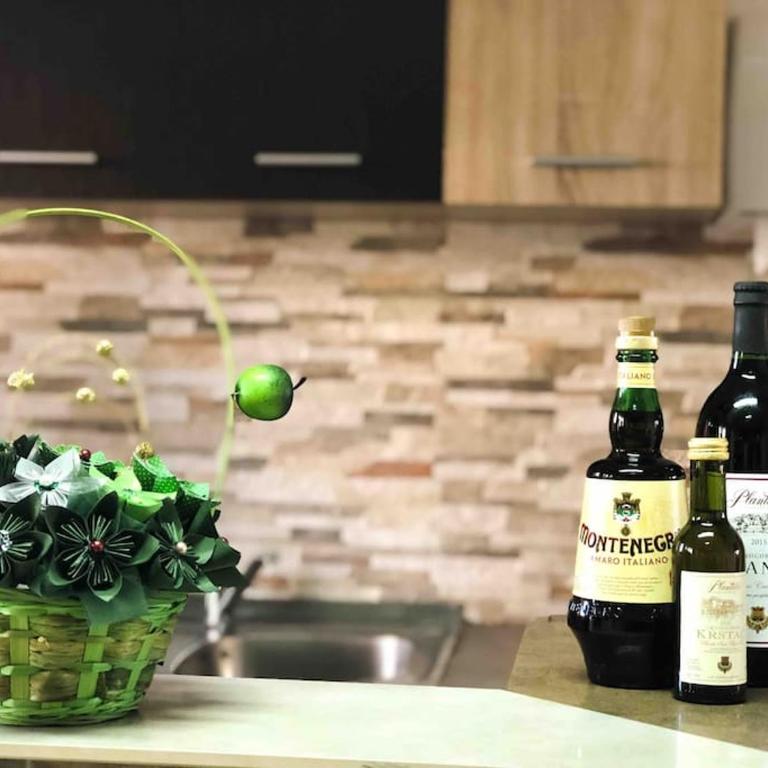 Apartmani LANA Podgorica - Studio with Sofa Bed - 13