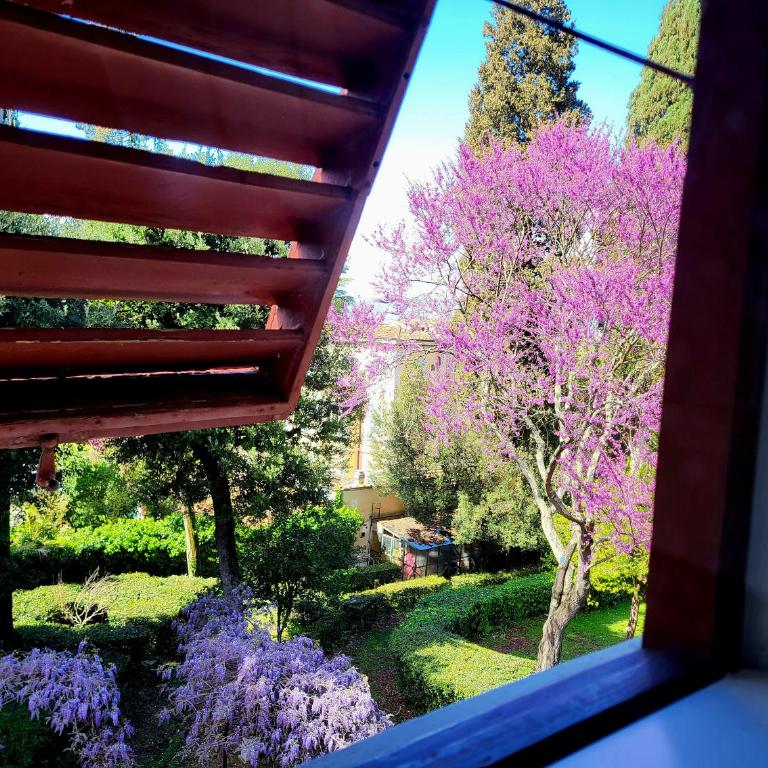 Villa Nardi - Residenza D'Epoca - Camera Deluxe con Vista Città - 2