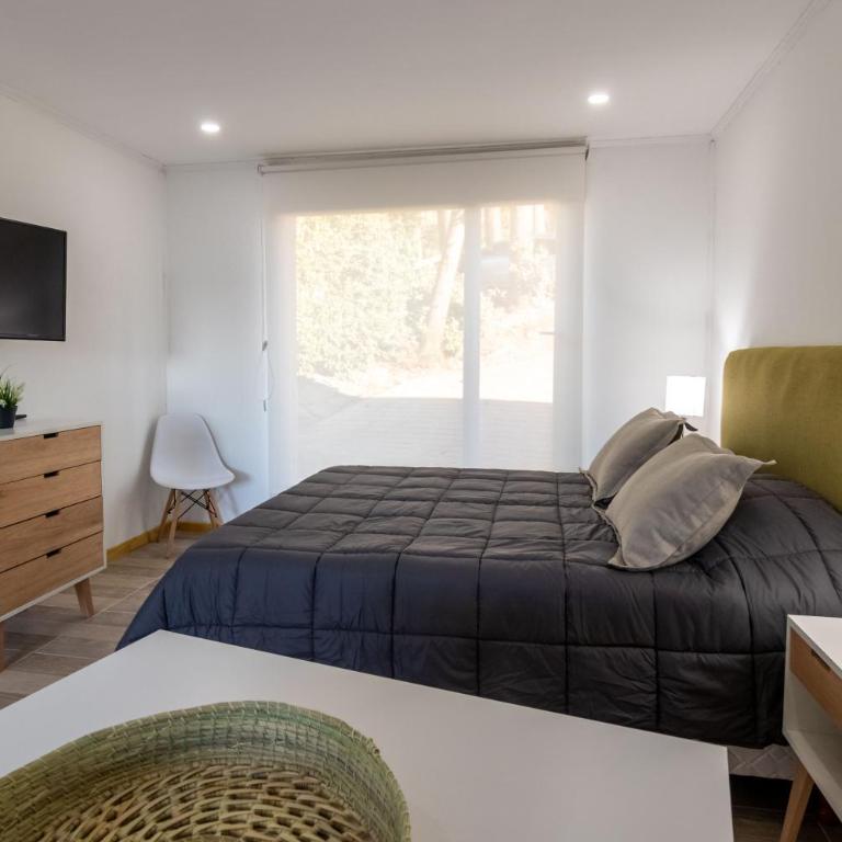 Lagos del Sur - Double Room - 4