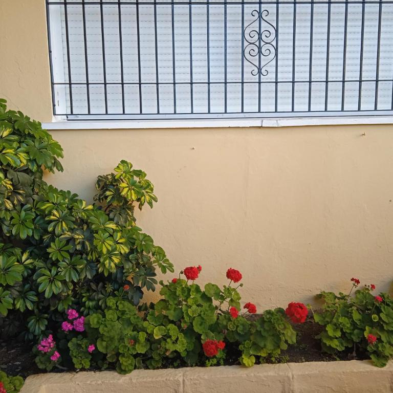 FUENGIROLA PLAYA y PISCINA PERLA 2 ESTUDIO - Apartamento de 1 dormitorio - 4