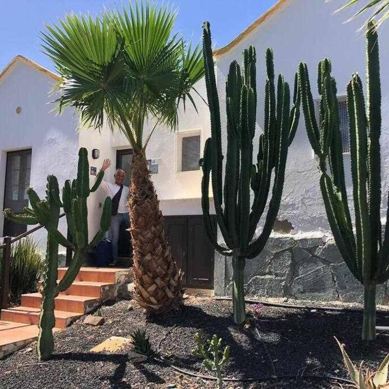 El ron ron de Fuerte - One-Bedroom Apartment - 22