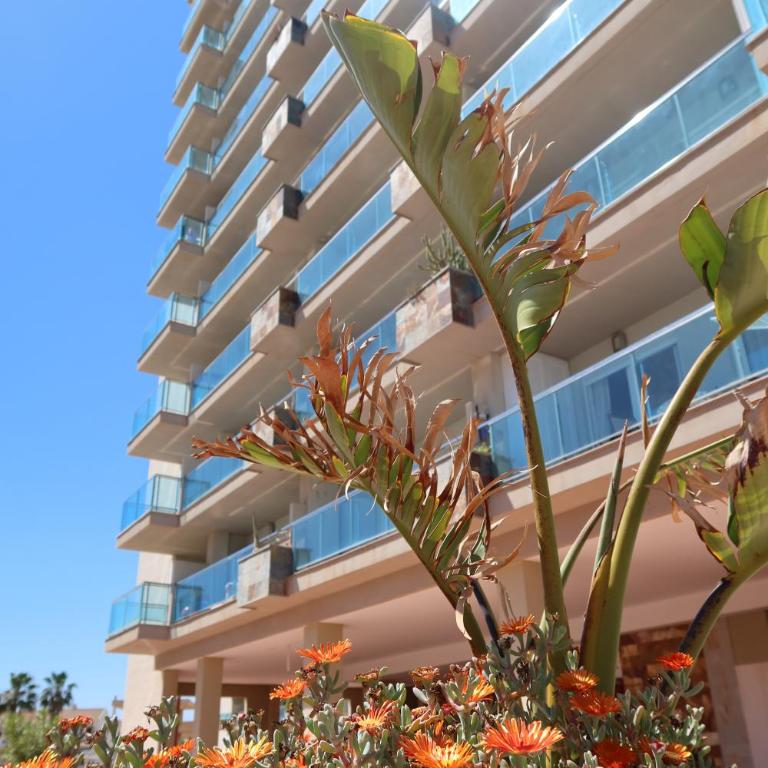 EL REMANSO IV - Apartamento de 2 dormitorios - 19