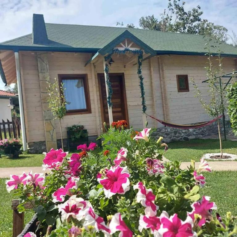 Rooms and apartmants Mirovic - Bungalov - pored Vode - 13