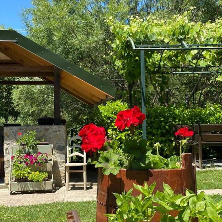 Rooms and apartmants Mirovic - Bungalov - pored Vode - 2