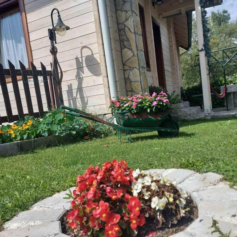 Rooms and apartmants Mirovic - Bungalov - pored Vode - 12
