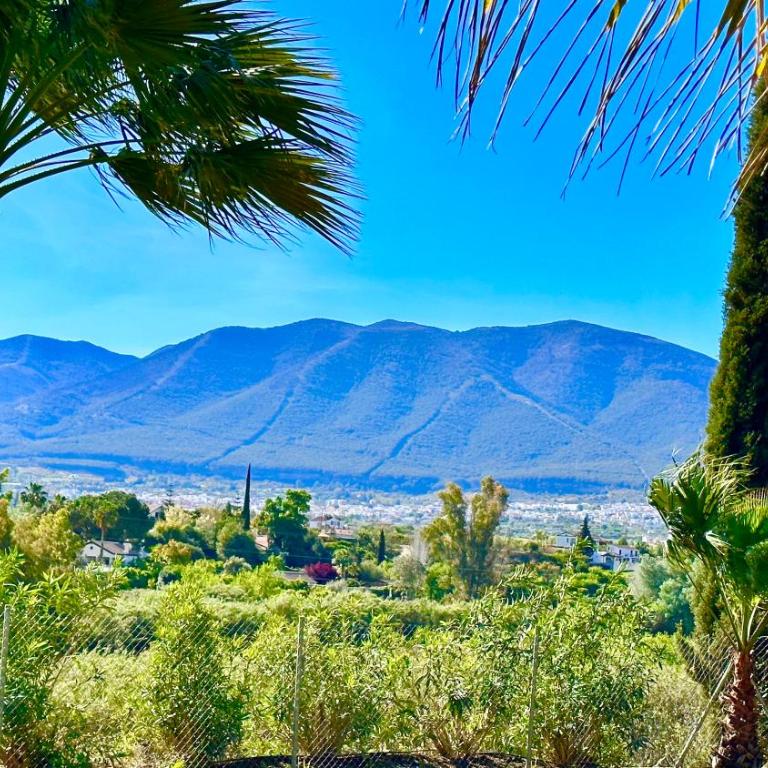 Finca La Panorámica - Four-Bedroom House - 24