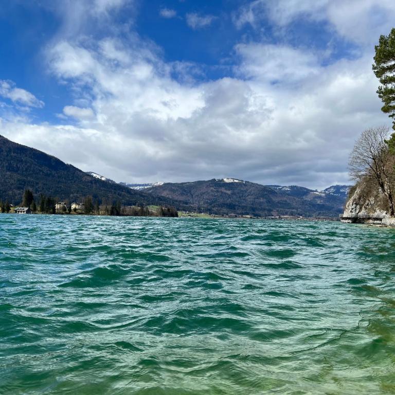 Wolfgangsee Ferienappartement „Bergliebe“ - One-Bedroom Apartment - 27