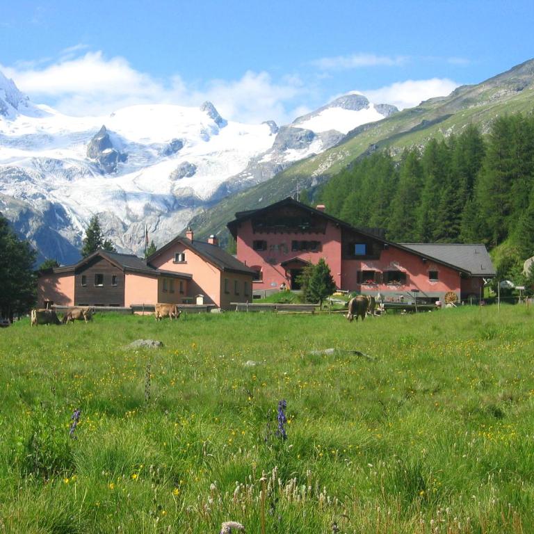 Hotel Roseg-Gletscher - Standard Einzelzimmer - 1