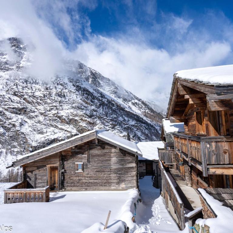 Haus Zer Trächu - Chalet - 49