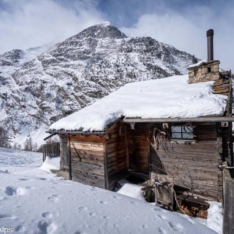 Haus Zer Trächu - Chalet - 51
