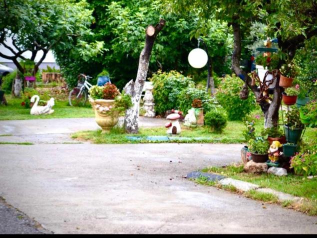 Apartmani LANA Podgorica - Studio with Sofa Bed - 7