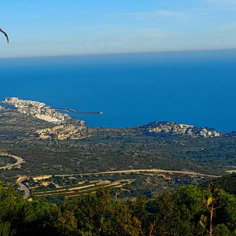Primera línea, vistas al Castillo, Avda Papa Luna 10 - Apartamento con vistas al mar - 38