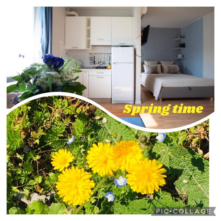 LULLABY HOUSE LAZISE - Appartamento con 1 Camera da Letto - 2